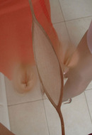 Pantyhose Pictures